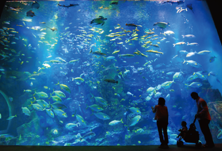 男鹿水族館GAO