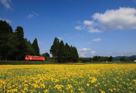 秋田內陸橫跨鐵道