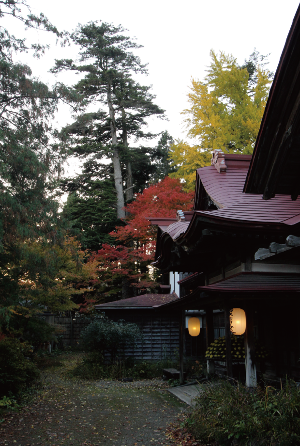 A group of trees standing next to the mansion.