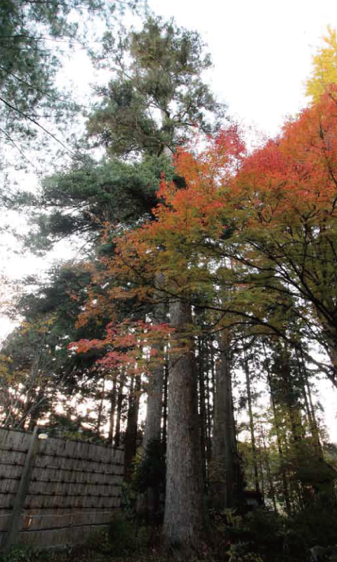 Kowakubi Hot Springs Shōhōen